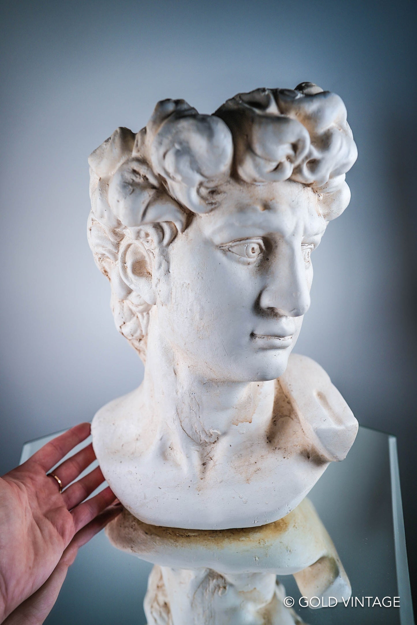 Bust of David of Michelangelo Flower Plant Pot Limestone Color