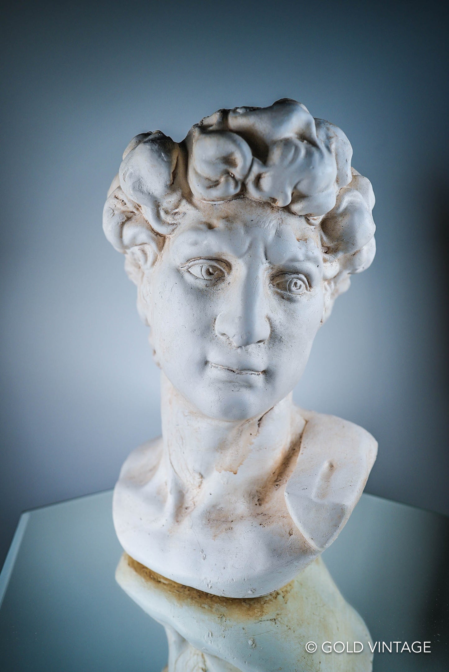 Bust of David of Michelangelo Flower Plant Pot Limestone Color