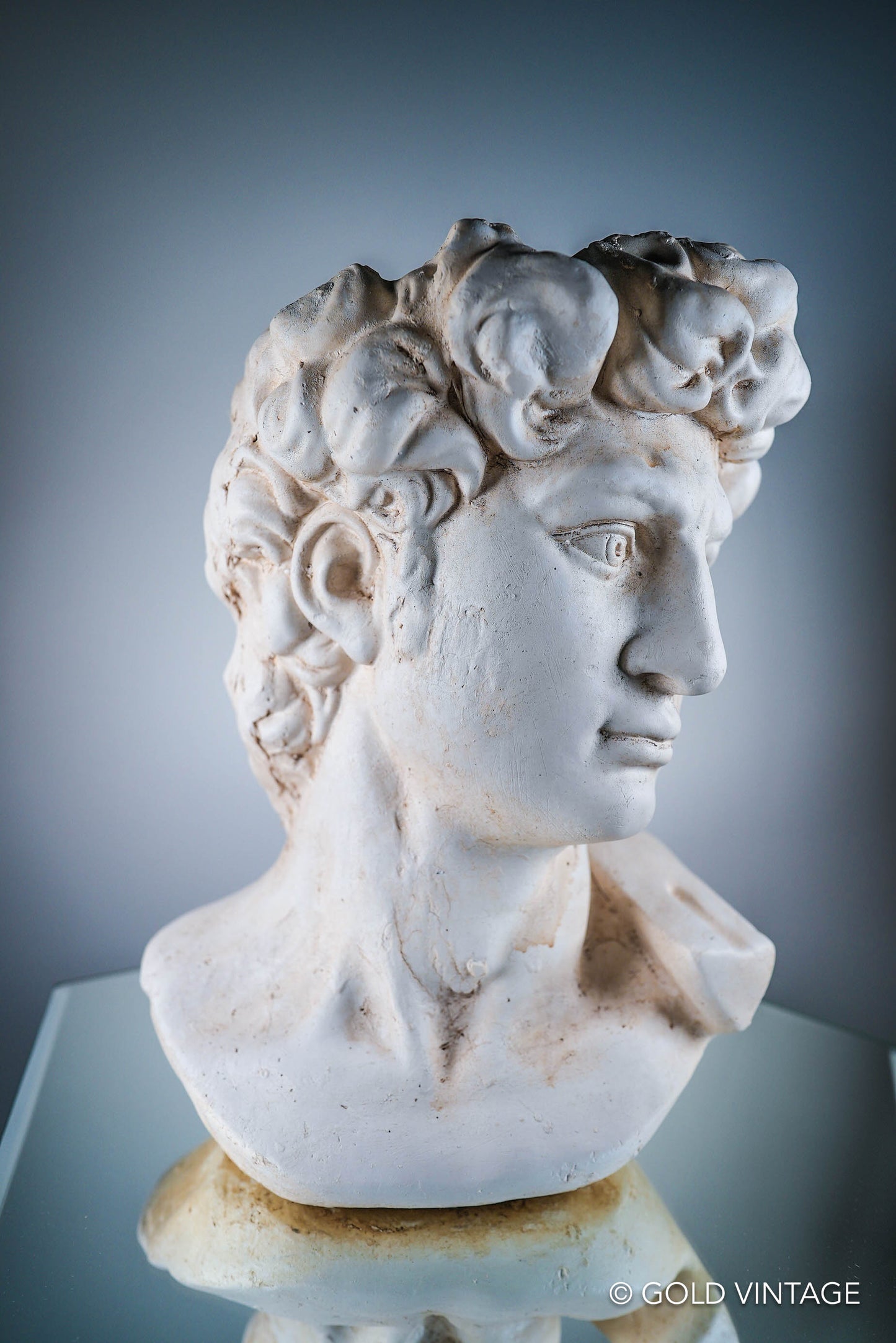 Bust of David of Michelangelo Flower Plant Pot Limestone Color