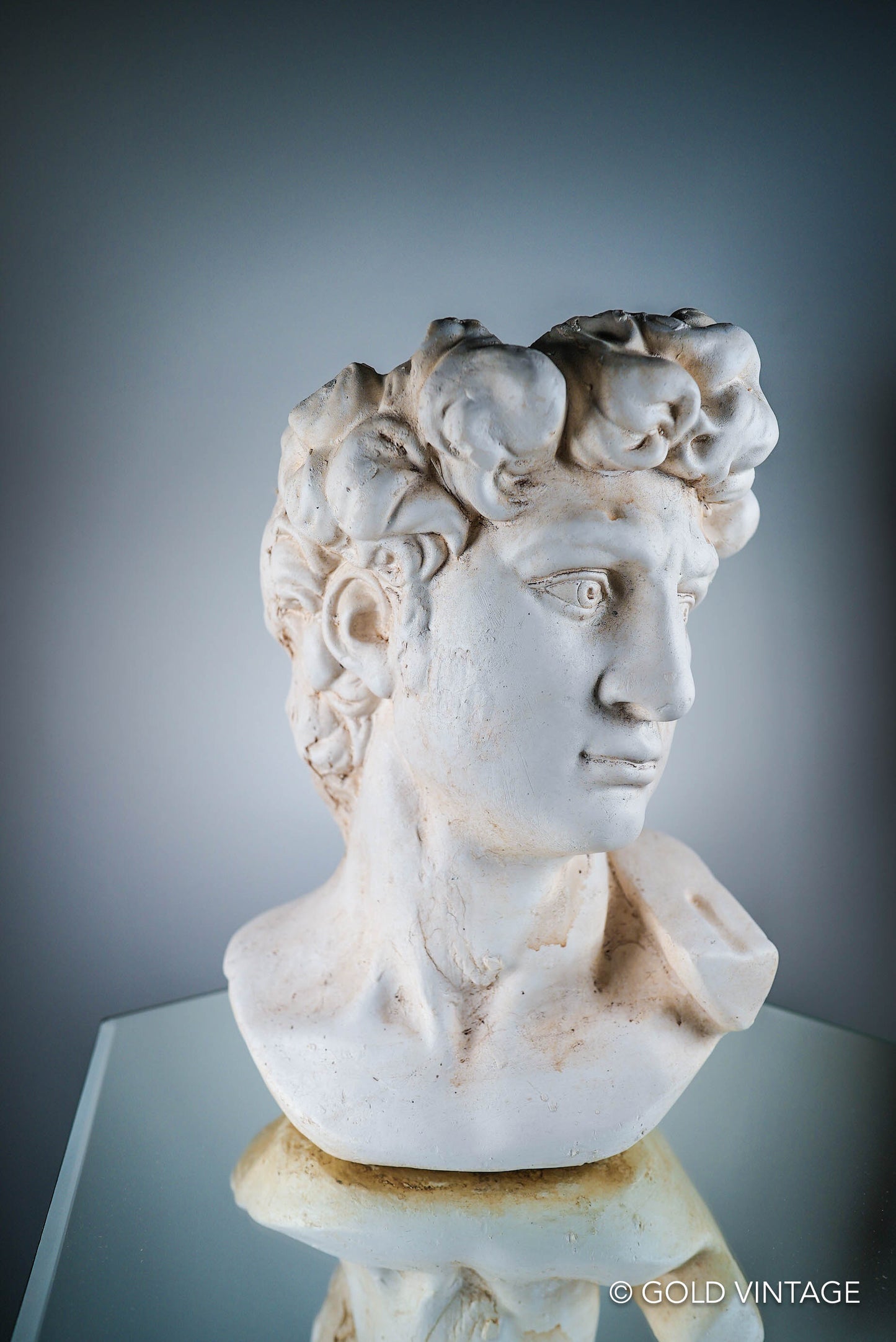 Bust of David of Michelangelo Flower Plant Pot Limestone Color