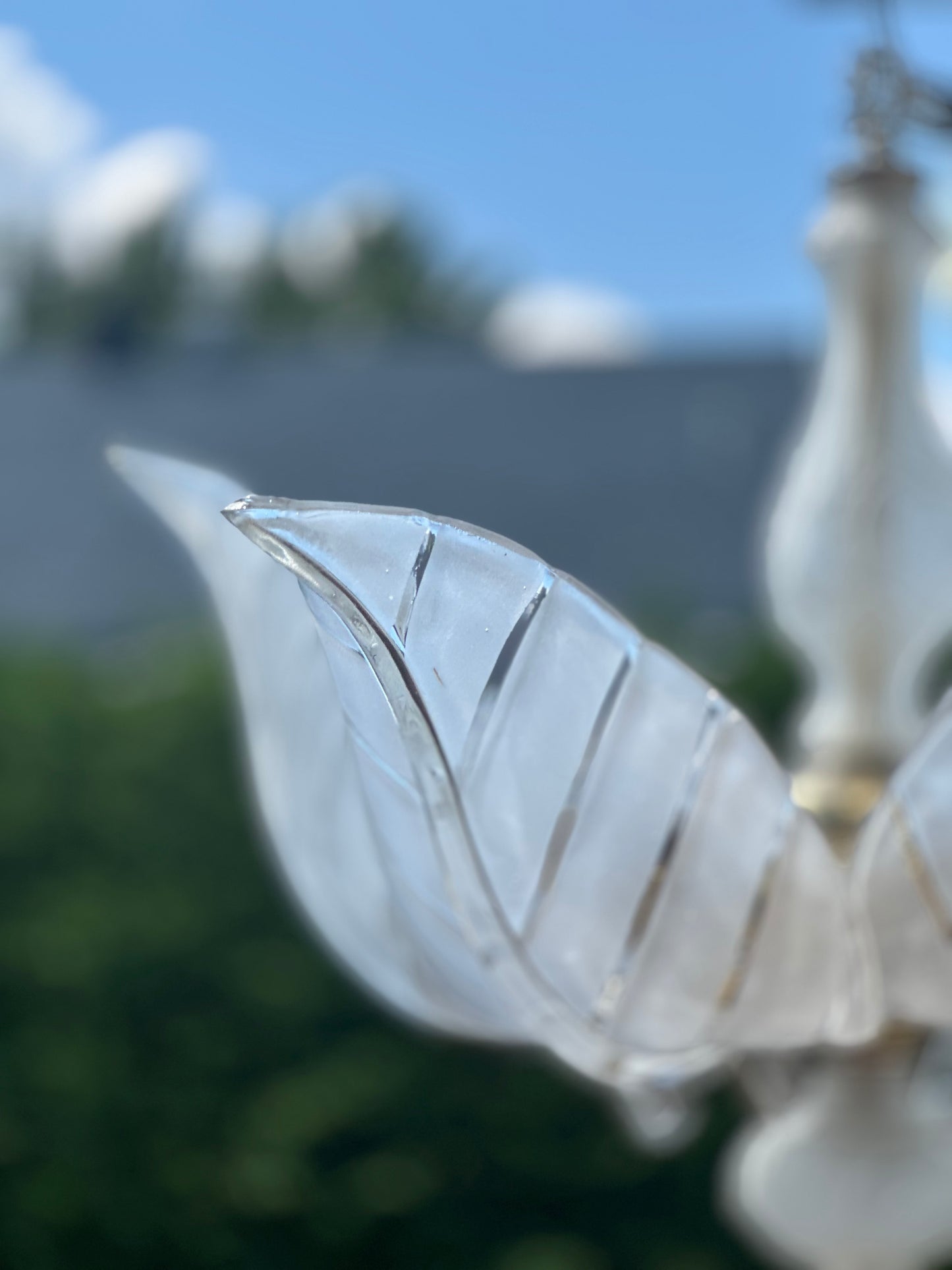 Vintage Murano Glass Leaf Chandelier with Brass Detailing