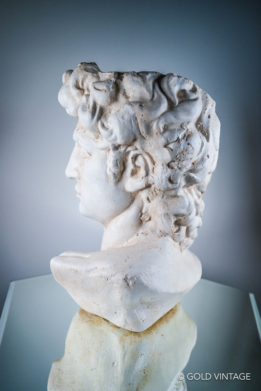 Bust of David of Michelangelo Flower Plant Pot Limestone Color