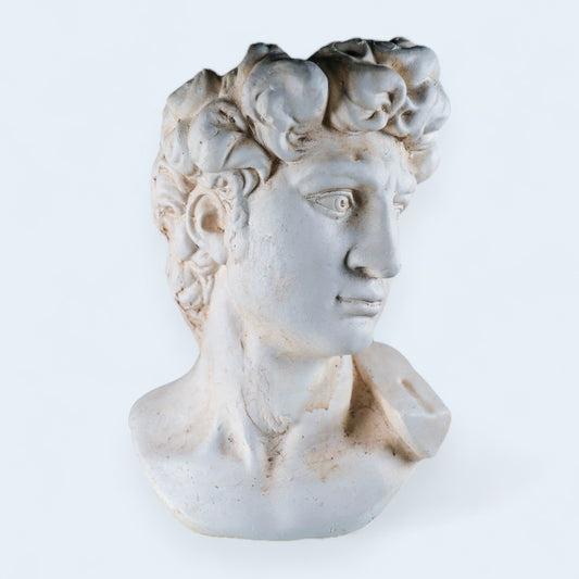Bust of David of Michelangelo Flower Plant Pot Limestone Color